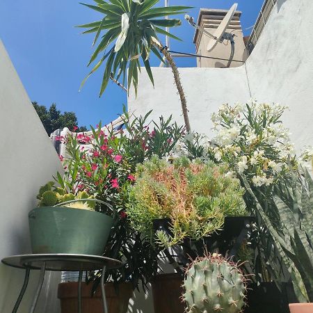 Historic Center Private Terrace Διαμέρισμα Μάλαγα Εξωτερικό φωτογραφία